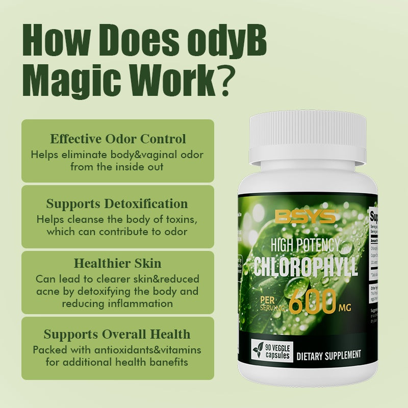 BSYS Chlorophyll Capsules  Fat Metabolism Support Aid Blood Purification & Detox Boost  Digestive Health & Constipation Relief Helper  Immune System Enhancement  Daily Detox & Wellness Supplemen