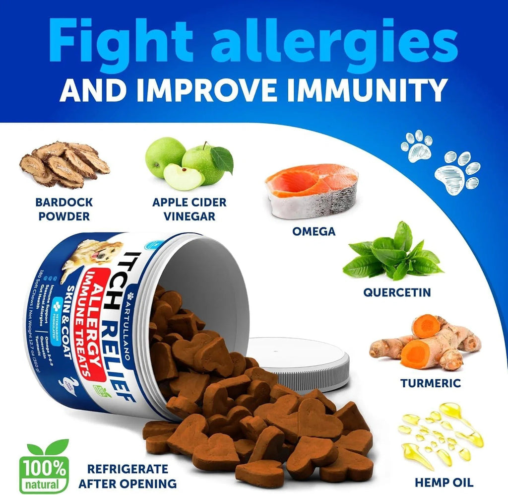 Probiotics For Dogs Support Gut Health Itchy Skin Allergies Immunity Yeast Balance Dog Probiotics And Digestive Enzymes With Prebiotics Reduce Diarrhea Gas 180 Probiotic Chews For Dogs